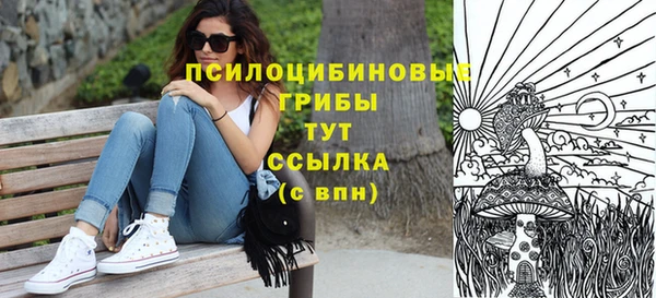 эйфоретик Лихославль