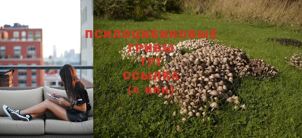 эйфоретик Лихославль
