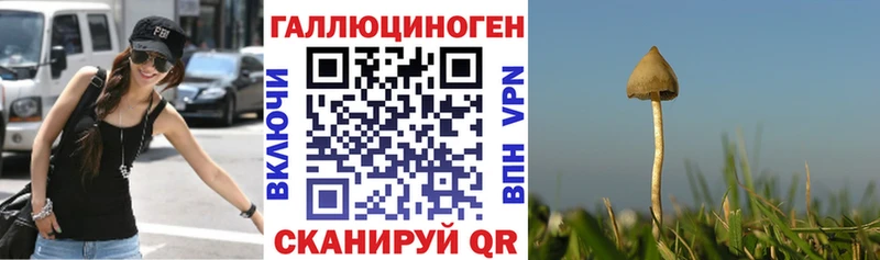 Галлюциногенные грибы MAGIC MUSHROOMS Мегион