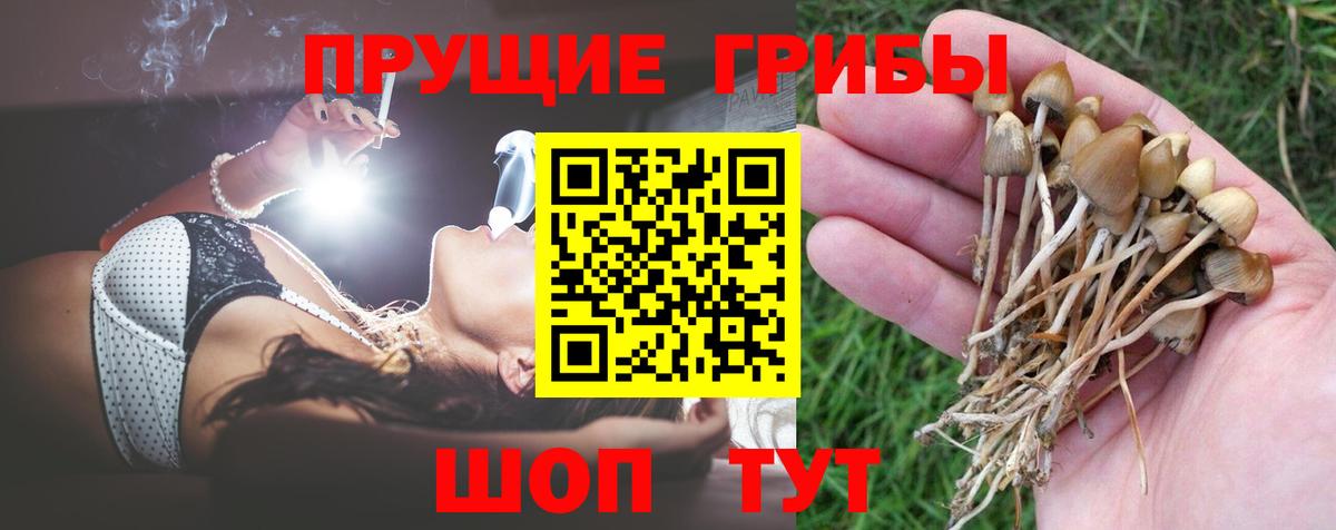 Псилоцибиновые грибы мицелий  Вход с VPN  Псилоцибиновые грибы Cubensis  Мегион 